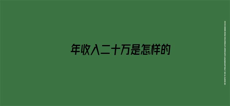 年收入二十万是怎样的水平